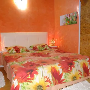 Orange Flower Appartamento Sofia